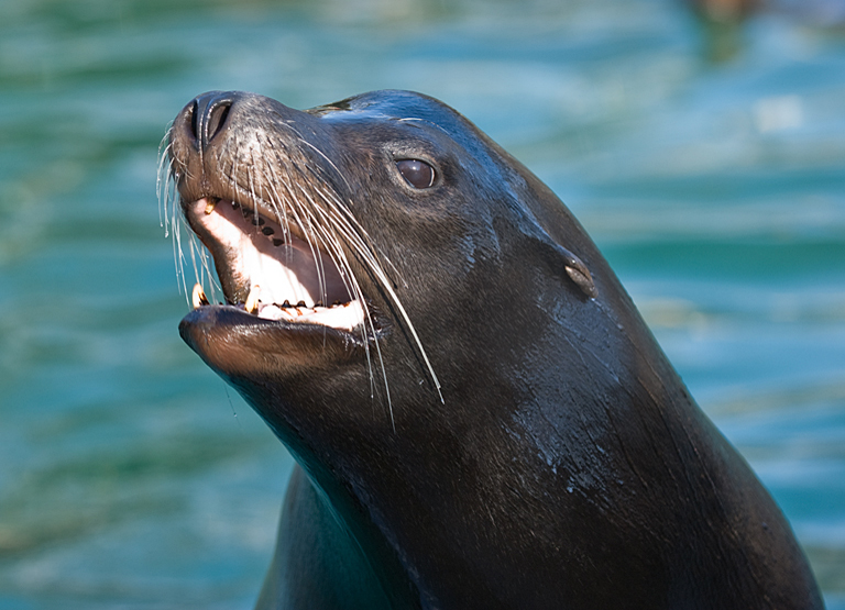 MBBronx Zoo(2)